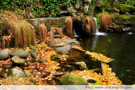 Los colores del otoño en el Valle de Ambroz